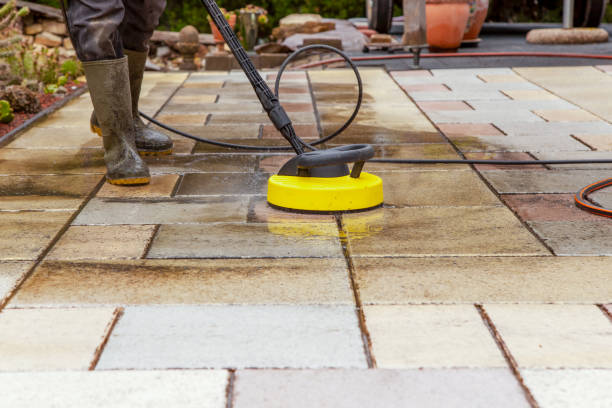 Best Animal Enclosure Cleaning  in Bradenton, FL